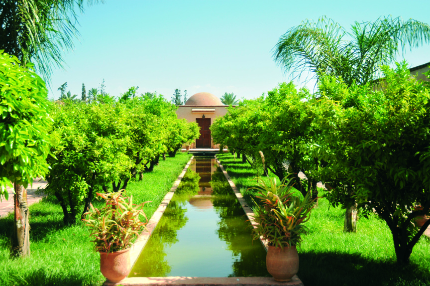 Le Musée de la palmeraie, Art contemporain & Nature